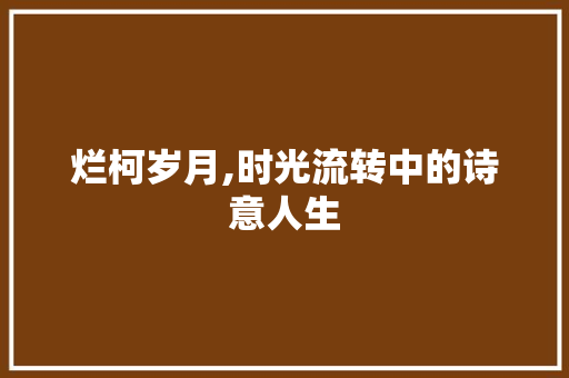烂柯岁月,时光流转中的诗意人生