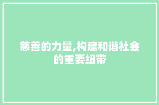 慈善的力量,构建和谐社会的重要纽带