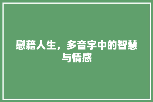 慰藉人生，多音字中的智慧与情感