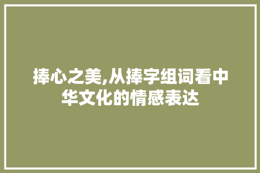 捧心之美,从捧字组词看中华文化的情感表达