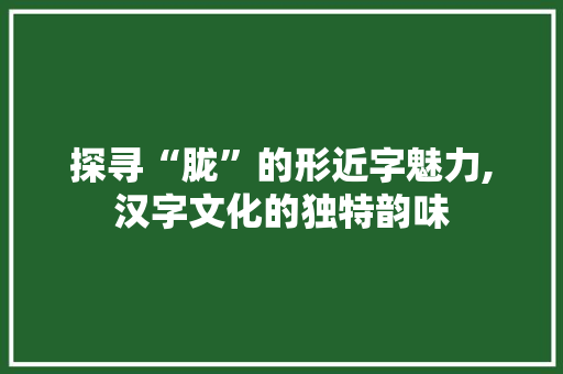 探寻“胧”的形近字魅力,汉字文化的独特韵味