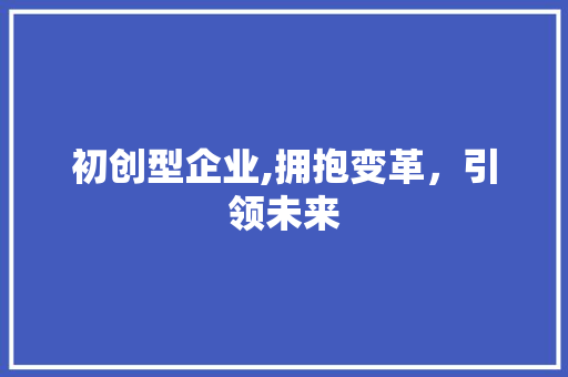 初创型企业,拥抱变革，引领未来