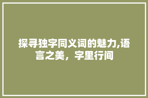 探寻独字同义词的魅力,语言之美，字里行间 商业计划书范文