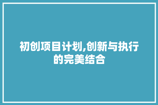 初创项目计划,创新与执行的完美结合