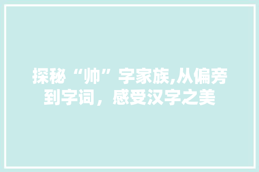 探秘“帅”字家族,从偏旁到字词，感受汉字之美
