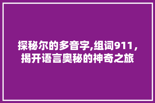探秘尔的多音字,组词911，揭开语言奥秘的神奇之旅