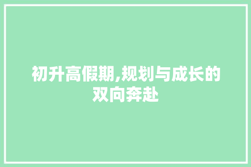 初升高假期,规划与成长的双向奔赴