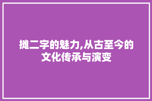 摊二字的魅力,从古至今的文化传承与演变