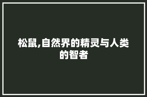 松鼠,自然界的精灵与人类的智者