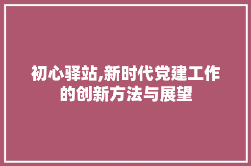 初心驿站,新时代党建工作的创新方法与展望