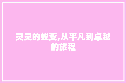 灵灵的蜕变,从平凡到卓越的旅程