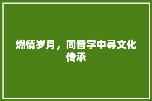 燃情岁月，同音字中寻文化传承