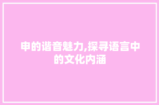 申的谐音魅力,探寻语言中的文化内涵
