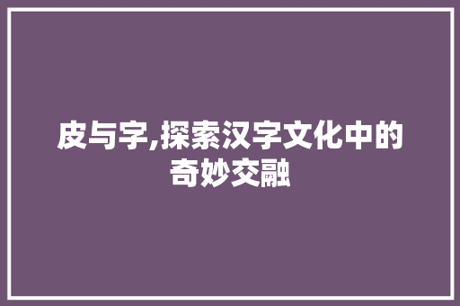 皮与字,探索汉字文化中的奇妙交融