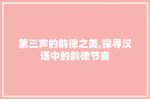 第三声的韵律之美,探寻汉语中的韵律节奏