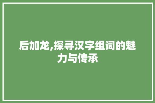 后加龙,探寻汉字组词的魅力与传承