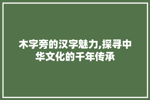 木字旁的汉字魅力,探寻中华文化的千年传承