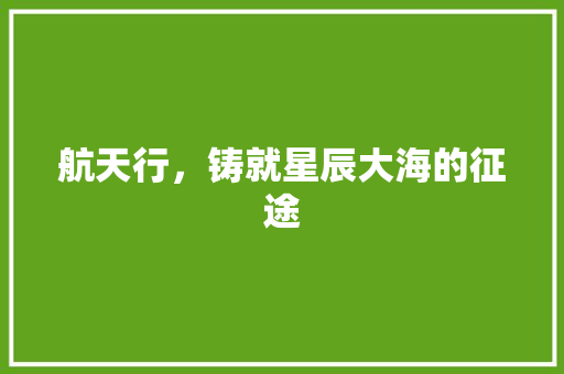 航天行，铸就星辰大海的征途