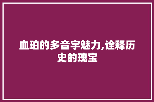 血珀的多音字魅力,诠释历史的瑰宝