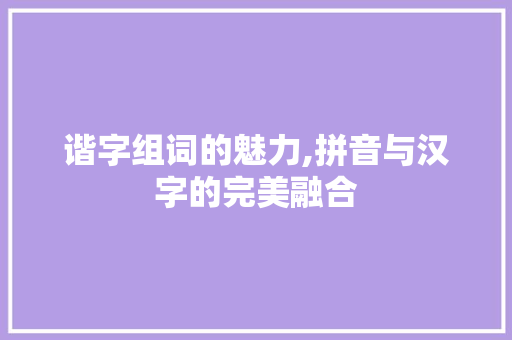 谐字组词的魅力,拼音与汉字的完美融合