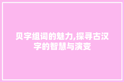 贝字组词的魅力,探寻古汉字的智慧与演变