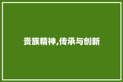 贵族精神,传承与创新