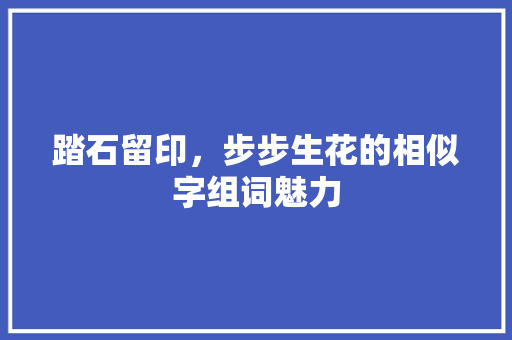 踏石留印，步步生花的相似字组词魅力