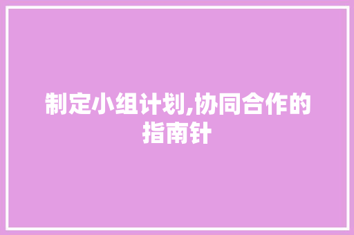 制定小组计划,协同合作的指南针