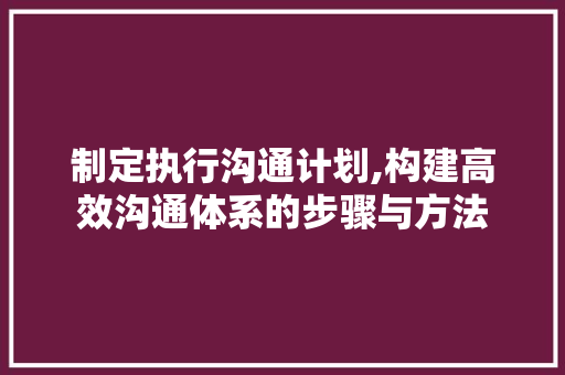 制定执行沟通计划,构建高效沟通体系的步骤与方法