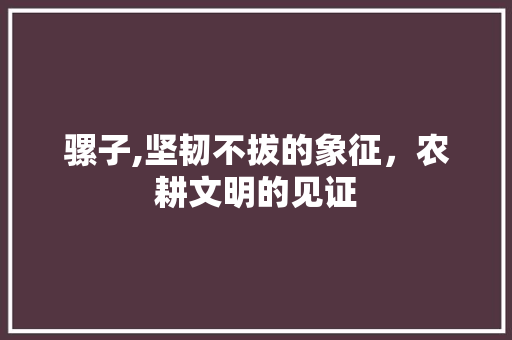 骡子,坚韧不拔的象征，农耕文明的见证