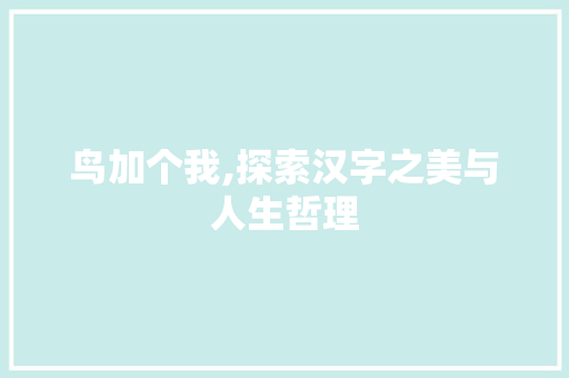 鸟加个我,探索汉字之美与人生哲理