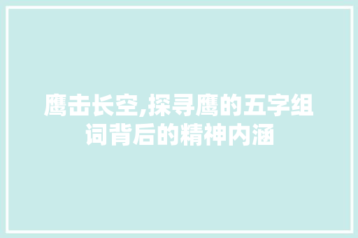 鹰击长空,探寻鹰的五字组词背后的精神内涵