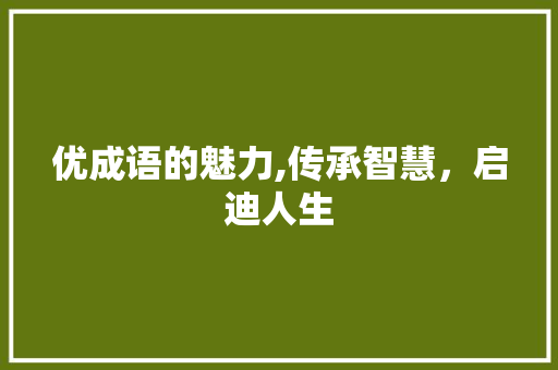 优成语的魅力,传承智慧，启迪人生