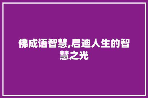 佛成语智慧,启迪人生的智慧之光