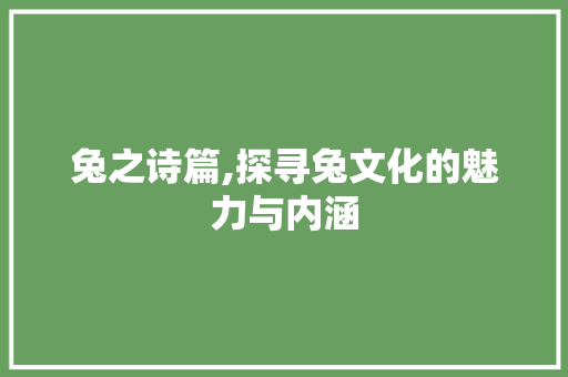 兔之诗篇,探寻兔文化的魅力与内涵