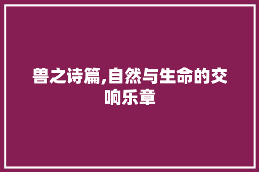 兽之诗篇,自然与生命的交响乐章