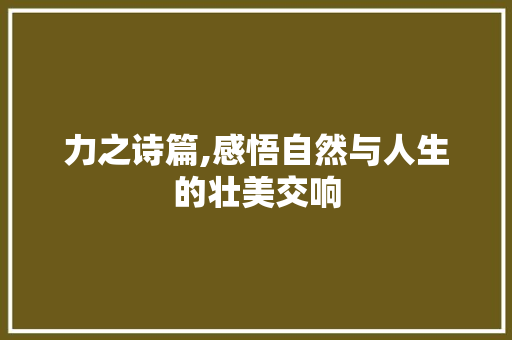 力之诗篇,感悟自然与人生的壮美交响