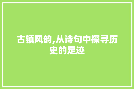 古镇风韵,从诗句中探寻历史的足迹