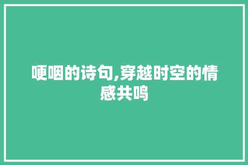 哽咽的诗句,穿越时空的情感共鸣