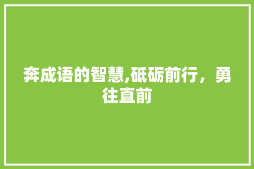 奔成语的智慧,砥砺前行，勇往直前