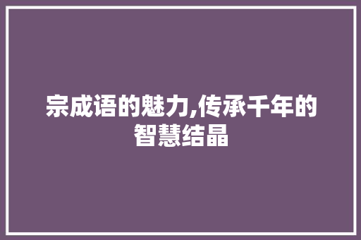 宗成语的魅力,传承千年的智慧结晶