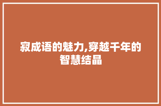 寂成语的魅力,穿越千年的智慧结晶