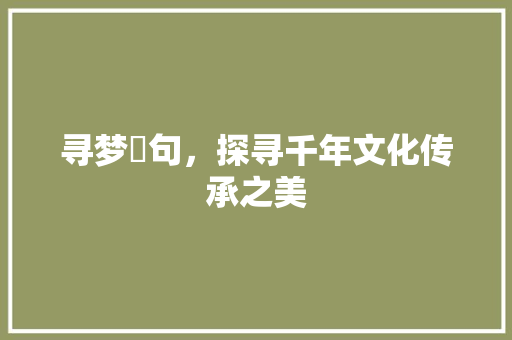 寻梦瑧句，探寻千年文化传承之美