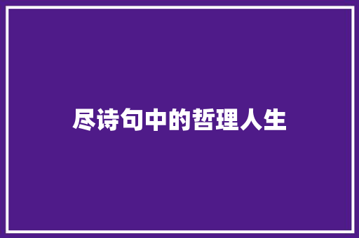 尽诗句中的哲理人生