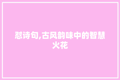 怼诗句,古风韵味中的智慧火花