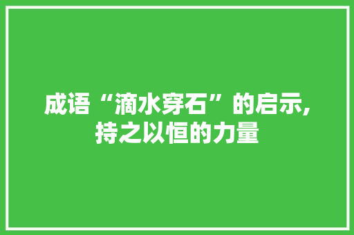 成语“滴水穿石”的启示,持之以恒的力量