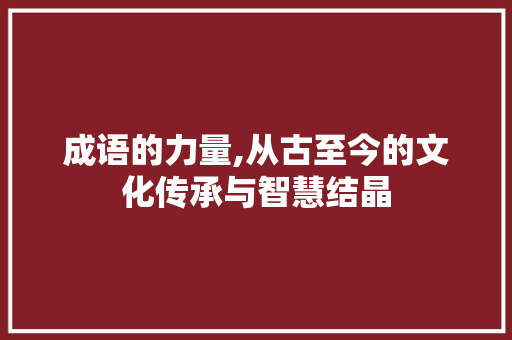成语的力量,从古至今的文化传承与智慧结晶