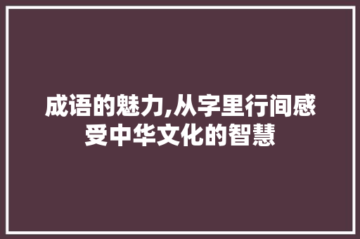 成语的魅力,从字里行间感受中华文化的智慧