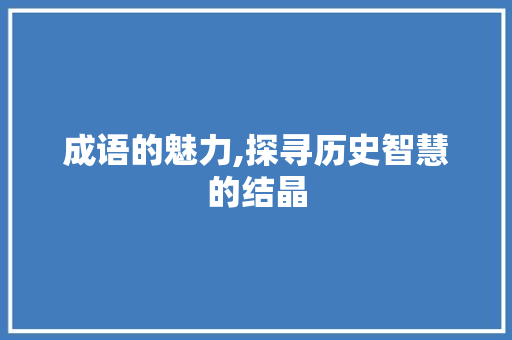 成语的魅力,探寻历史智慧的结晶
