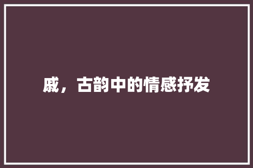 戚，古韵中的情感抒发